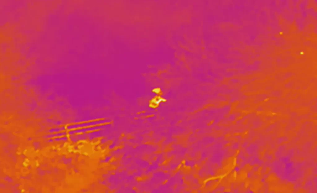 Drone thermal image