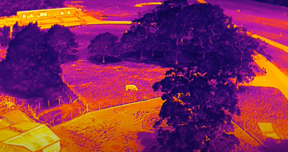 Drone thermal image