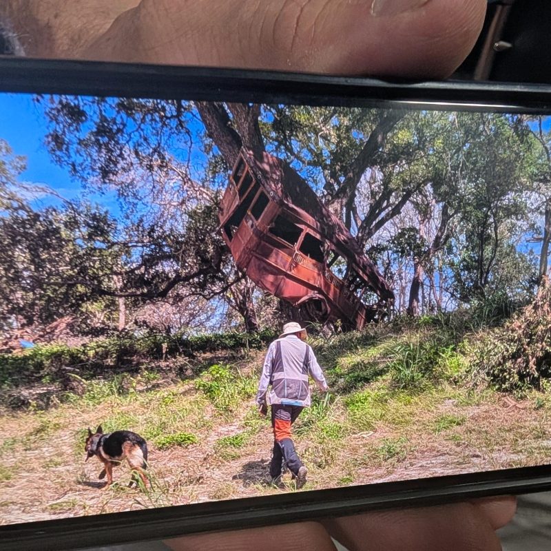 signal-2026-03-11-180245_007-1